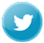 Tiempo on Twitter sns icon